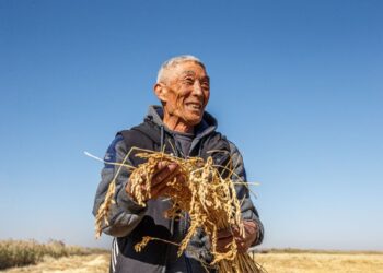 Фото пресс-службы акимата области Жетiсу