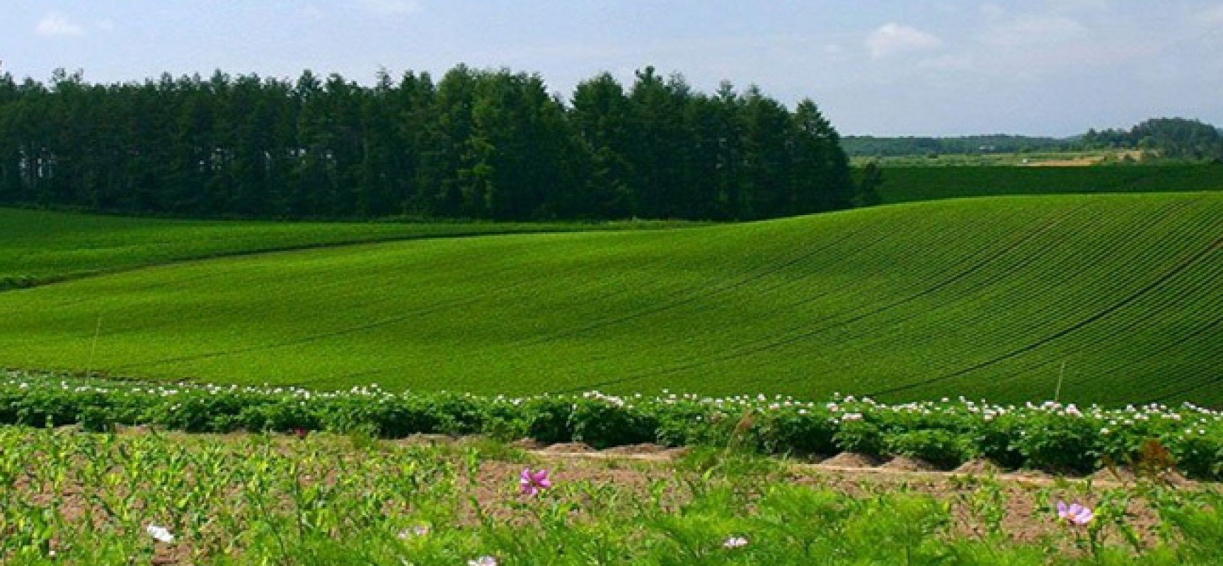 Участок картинка. Земельный участок Эстетика. Участок местности. Красивый участок земли фотографии. Земельный участок красивые ФОТОФОТО.