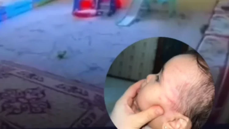 Фото: Ашық дереккөзден