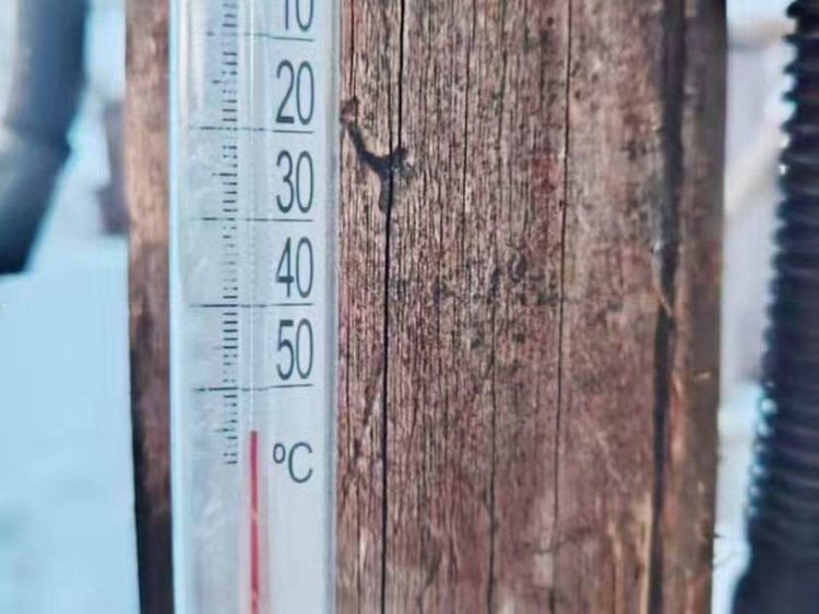 Фото: instagram.com/glpr.semeyormany