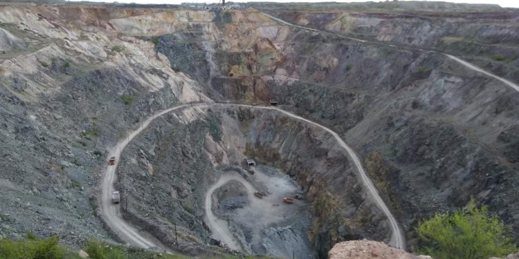 Фото: Николай Коуль