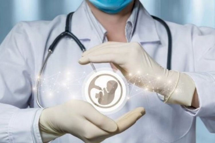 Фото: Ашық дереккөзден