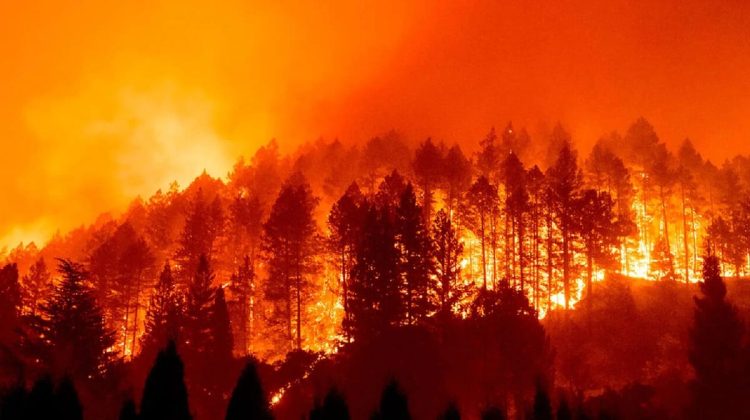 Фото: Tristan Fortsch