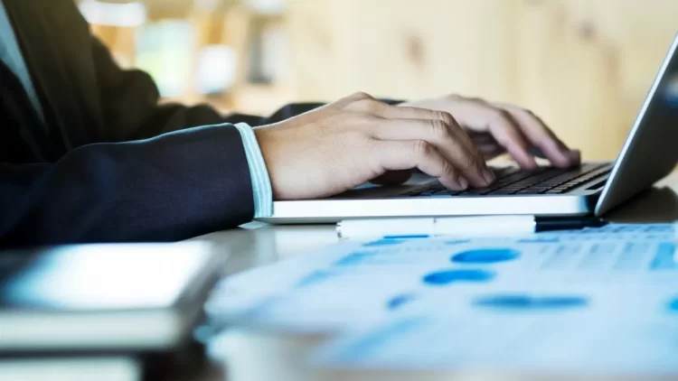 Фото: stock.adobe.com