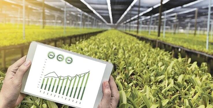 Фото: istockphoto.com