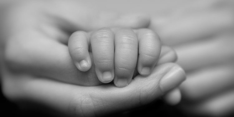 Фото: Ашық дереккөзден.