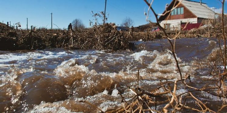 Фото: m.ru24.net