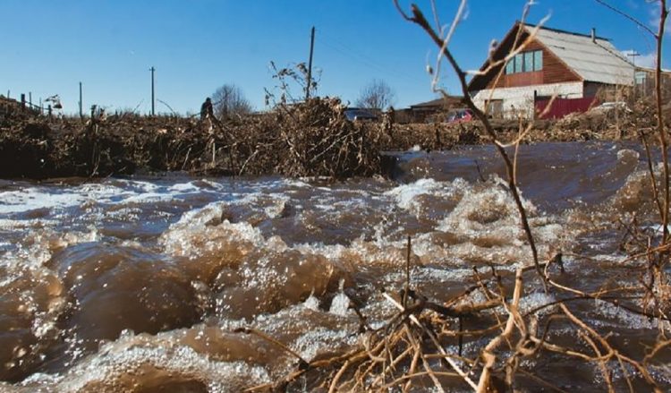 Фото: m.ru24.net