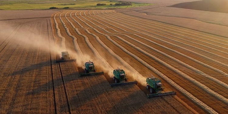 Фото: world-nan.kz