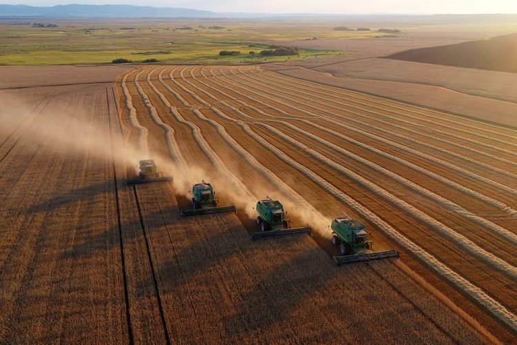 Фото: world-nan.kz