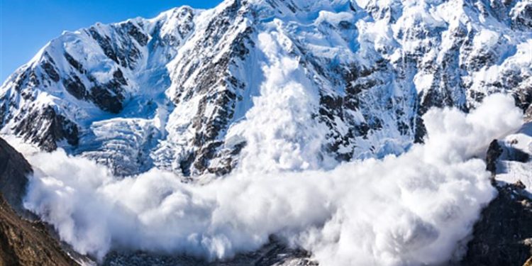 Фото: stock.adobe.com