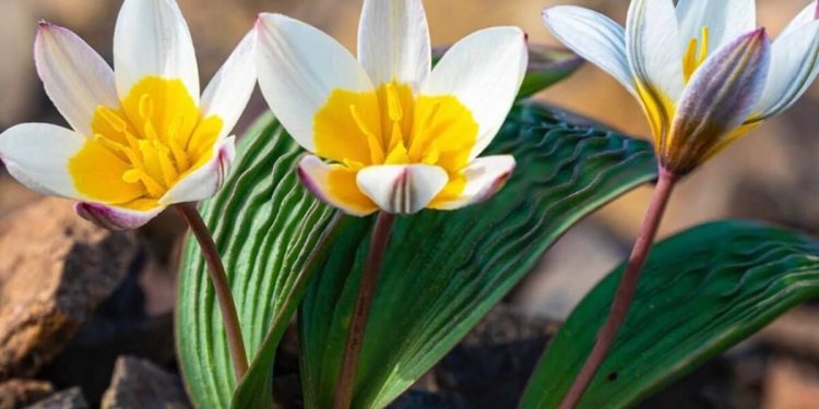 Фото:  Дмитрий Доценко