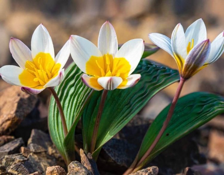 Фото:  Дмитрий Доценко