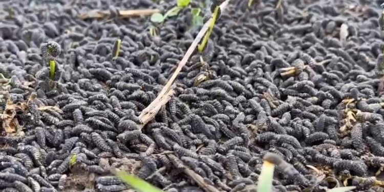 Фото: Алматы облысы әкімдігінің баспасөз қызметі