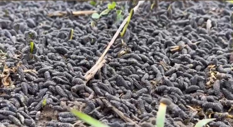 Фото: Алматы облысы әкімдігінің баспасөз қызметі