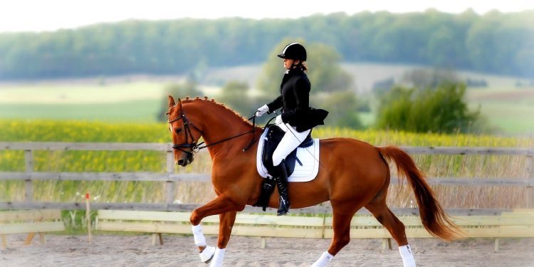 Фото: kf.spbgau.ru