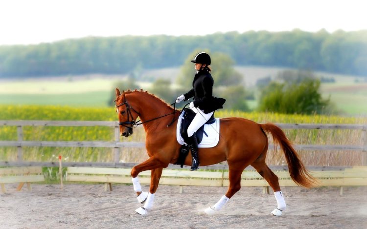 Фото: kf.spbgau.ru