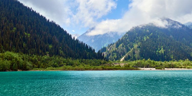 Фото: stock.adobe.com