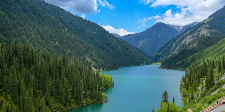 Фото: sputnik8.com