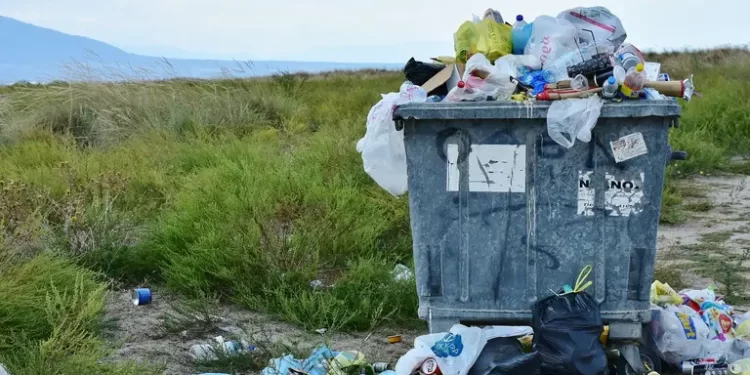 Фото: curiodyssey.org