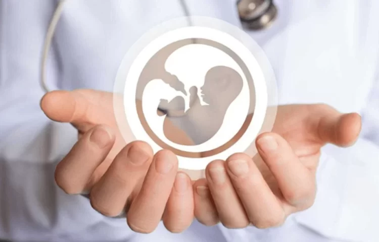 Фото: mamaplus.md