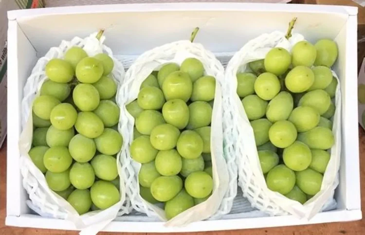 Фото: ҚР Ауыл шаруашылығы министрлігі