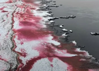 Фото: @112_aktau / Instagram