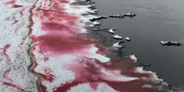 Фото: @112_aktau / Instagram