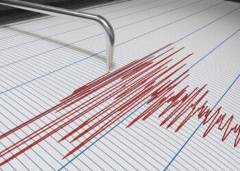 Фото: ашық дереккөзден