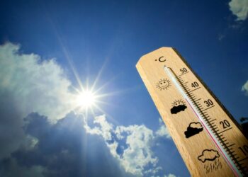 Фото: ашық дереккөзден