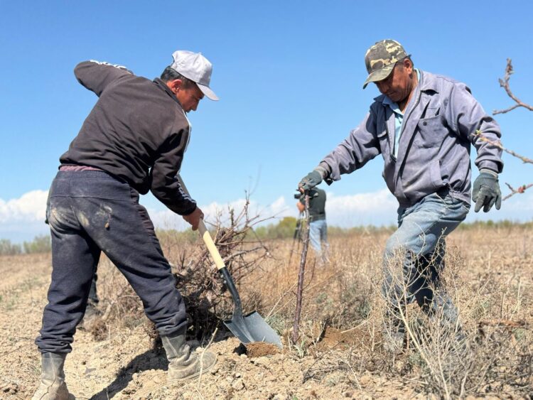 Фото: Дамир Нұрқасым