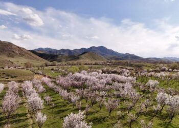 Фото: Дамир Нұрқасым