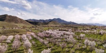 Фото: Дамир Нұрқасым