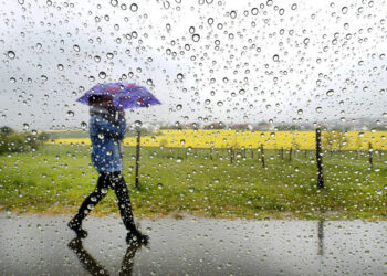 Фото: ашық дереккөзден