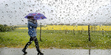 Фото: ашық дереккөзден