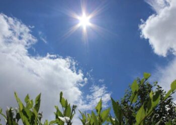 Фото: ашық дереккөзден