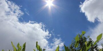 Фото: ашық дереккөзден