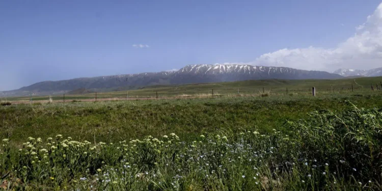 Фото: Алматы облысы Райымбек ауданы әкімдігі