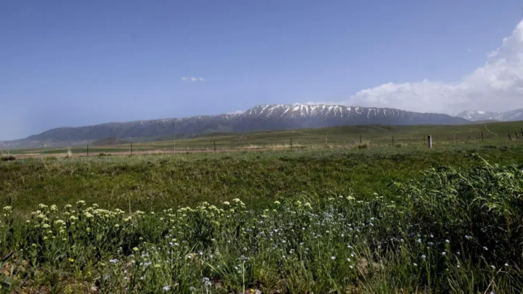 Фото: Алматы облысы Райымбек ауданы әкімдігі