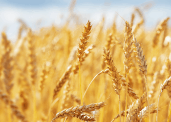 Фото: energyprom.kz