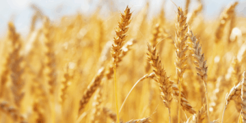 Фото: energyprom.kz