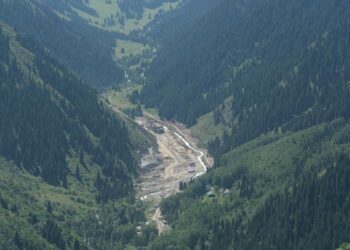 Фото: ашық дереккөзден