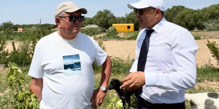 Фото: Қонаев қаласының әкімдігі