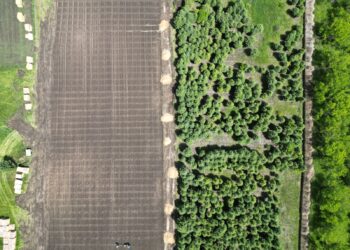 Фото: Alataunews.kz/Дамир Нұрқасым