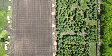 Фото: Alataunews.kz/Дамир Нұрқасым