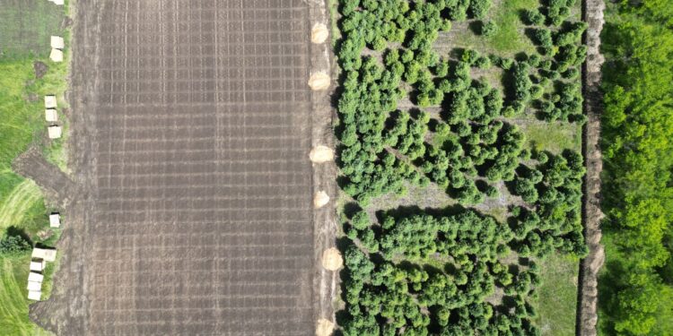 Фото: Alataunews.kz/Дамир Нұрқасым