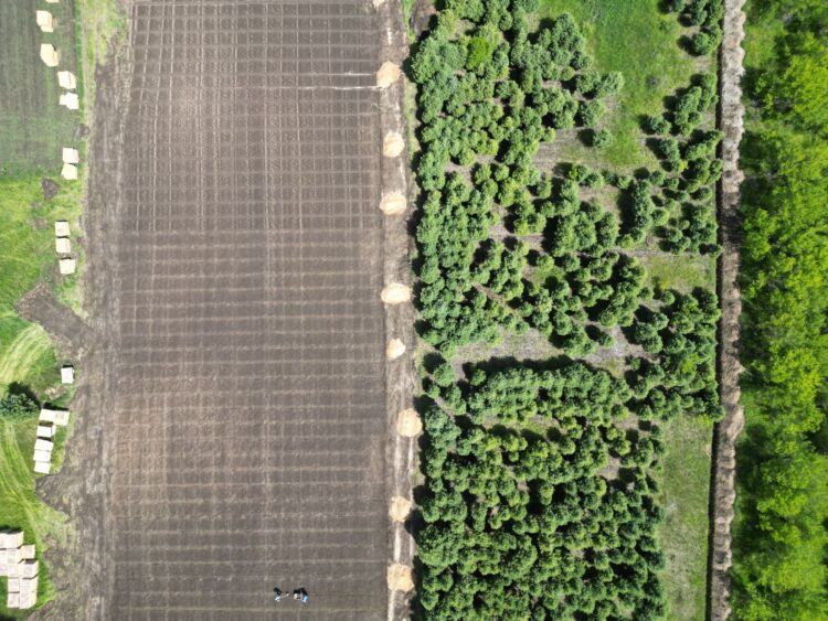 Фото: Alataunews.kz/Дамир Нұрқасым