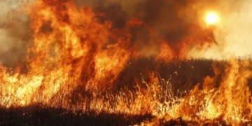 Фото: ашық дереккөзден