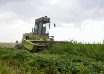 Фото: Алматы облысының әкімдігі