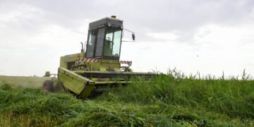 Фото: Алматы облысының әкімдігі